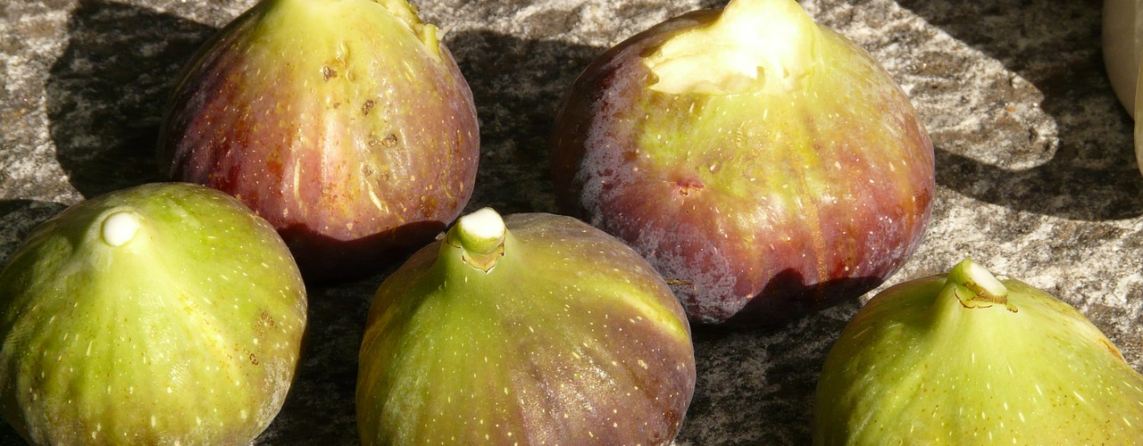 Fico Sciroppo Agave