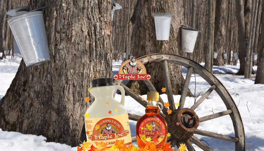 sciroppo acero Maple Joe